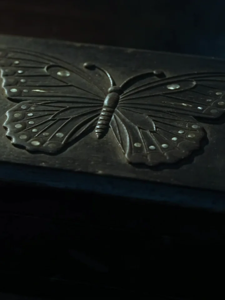 A black box with a butterfly in relief