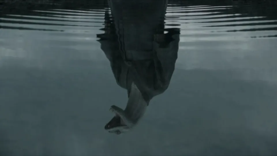 A reflection on dark water